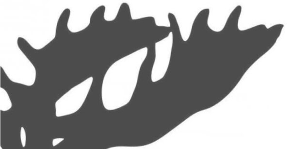 Schießleiter-Lehrgang (verbandsneutral)